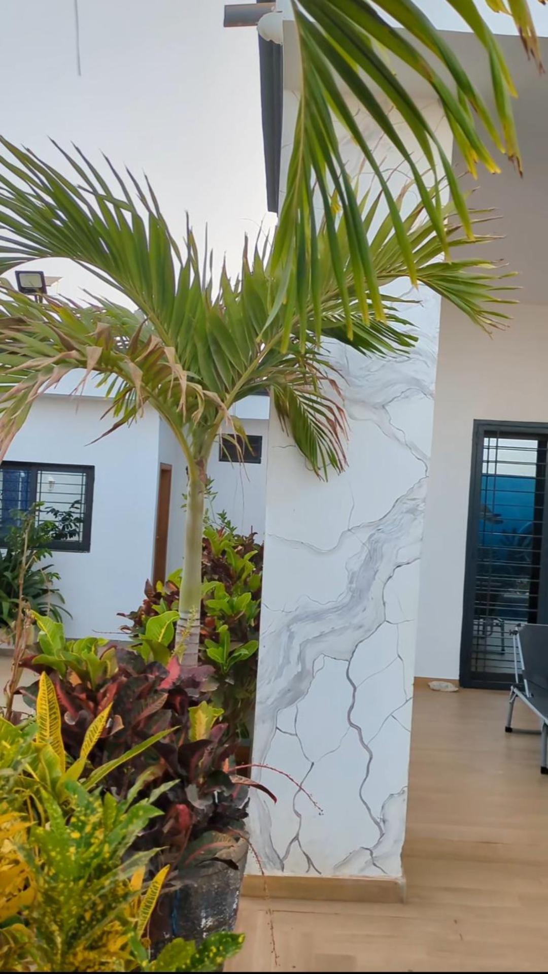Villa Hawa, Decor Unique & Piscine Somone Exterior foto